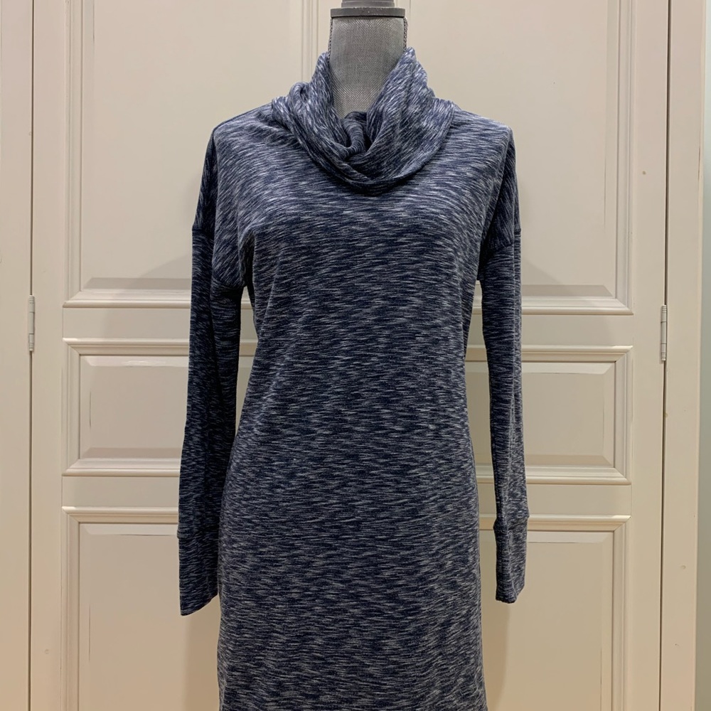 Dakini Sweatshirt Dress with Cowl neck